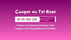 Cougar au Tel Rose